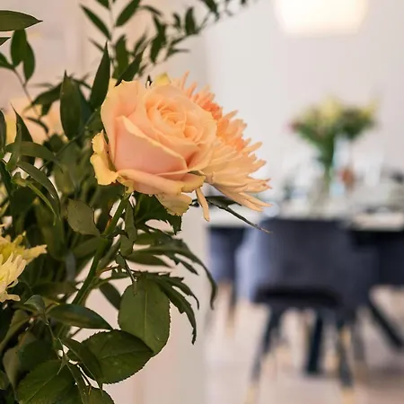 Apartment Ferien-apartment Seehas Mit Privatstrandzugang
