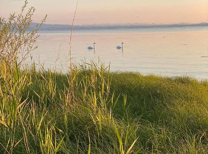 Apartment Ferien-apartment Seehas - Mit Priv Strandzugang *