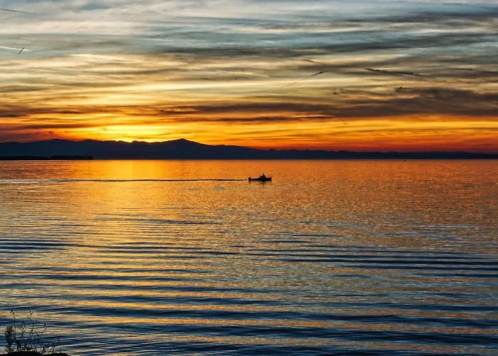 Ferien-apartment Seehas - Mit Priv Strandzugang Apartment *